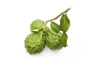 Matinata ingredient bergamot