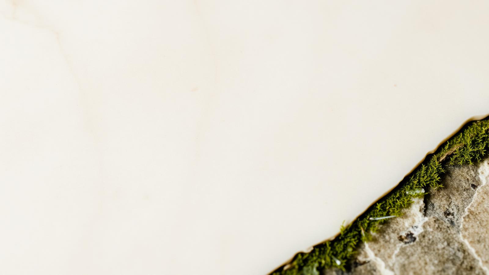 Cream marble stone with moss growing at its edge